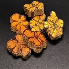 18-Day Ayahuasca Retreat Miami