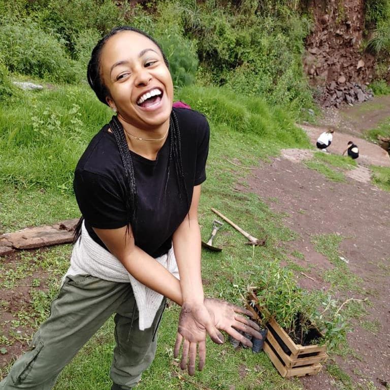 3-Day Ayahuasca Retreat Miami