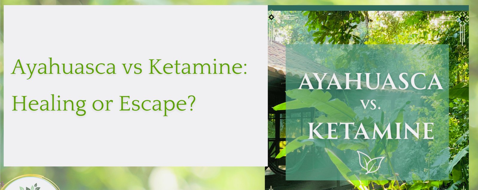 A split-screen visual comparing a modern Miami Ketamine clinic room with a sacred Ayahuasca ceremony space.
